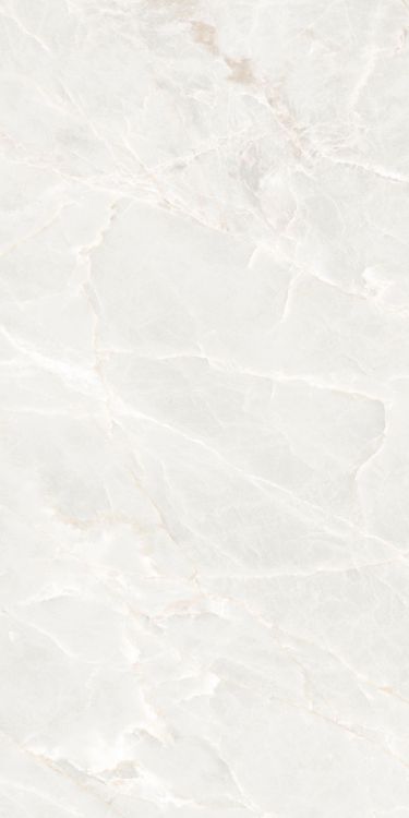 Brasilia White Matte 24 x 48